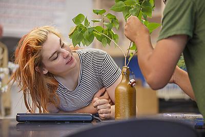 Landmark College student in science class examining tree branch.